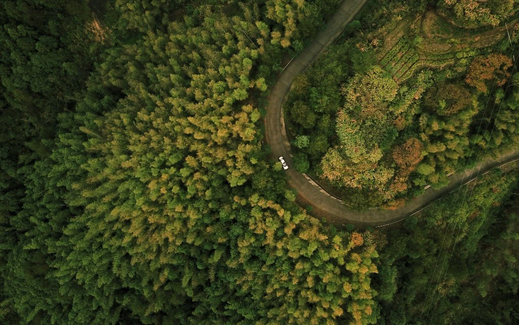 Vue aérienne drone d'une forêt traversée par une route sinueuse - photographie aérienne professionnelle