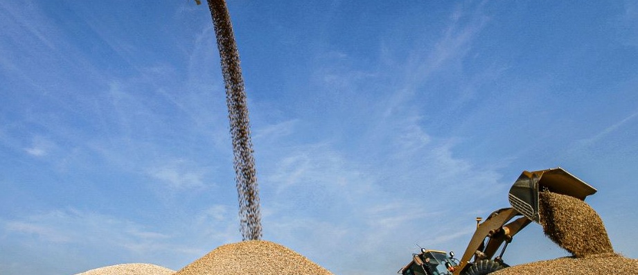 Déversement de granulats avec engins de chantier