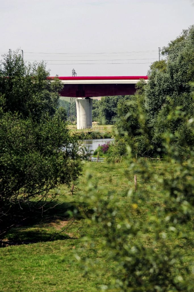 Viaduc LGV vu à travers la végétation