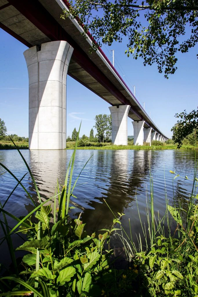 Viaduc LGV sur lac avec végétation aquatique